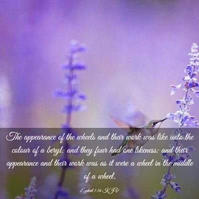 Picture 03 - Ezekiel 1:16 KJV - The appearance of the wheels and their work was - Bible Verse Picture