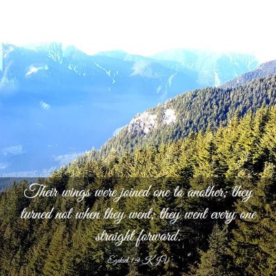 Picture 03 - Ezekiel 1:9 KJV - Their wings were joined one to another; they - Bible Verse Picture