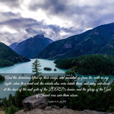 Picture 03 - Ezekiel 10:19 KJV - And the cherubims lifted up their wings, and - Bible Verse Picture