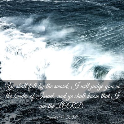 Picture 03 - Ezekiel 11:10 KJV - Ye shall fall by the sword; I will judge you in - Bible Verse Picture