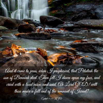 Picture 03 - Ezekiel 11:13 KJV - And it came to pass, when I prophesied, that - Bible Verse Picture