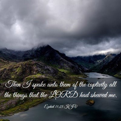 Picture 03 - Ezekiel 11:25 KJV - Then I spake unto them of the captivity all the - Bible Verse Picture