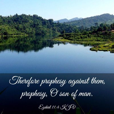 Picture 03 - Ezekiel 11:4 KJV - Therefore prophesy against them, prophesy, O son - Bible Verse Picture