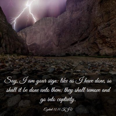 Picture 03 - Ezekiel 12:11 KJV - Say, I am your sign: like as I have done, so - Bible Verse Picture