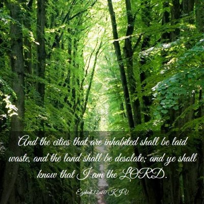 Picture 03 - Ezekiel 12:20 KJV - And the cities that are inhabited shall be laid - Bible Verse Picture