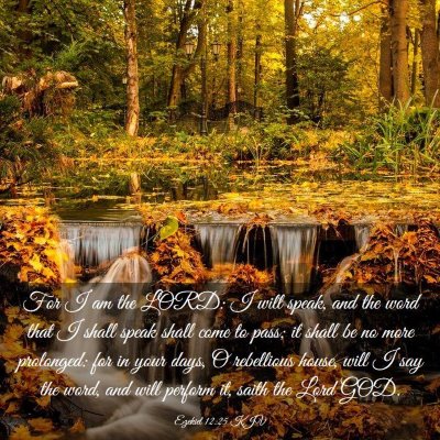 Picture 03 - Ezekiel 12:25 KJV - For I am the LORD: I will speak, and the word - Bible Verse Picture