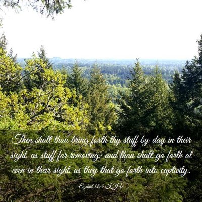 Picture 03 - Ezekiel 12:4 KJV - Then shalt thou bring forth thy stuff by day in - Bible Verse Picture