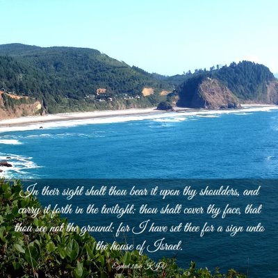 Picture 03 - Ezekiel 12:6 KJV - In their sight shalt thou bear it upon thy - Bible Verse Picture