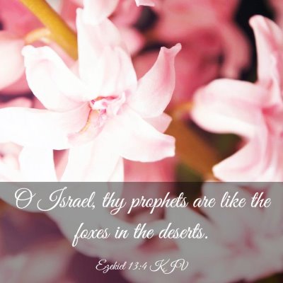 Picture 03 - Ezekiel 13:4 KJV - O Israel, thy prophets are like the foxes in the - Bible Verse Picture