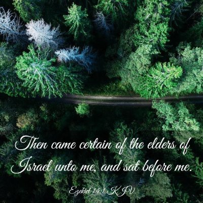 Picture 03 - Ezekiel 14:1 KJV - Then came certain of the elders of Israel unto - Bible Verse Picture