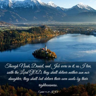 Picture 03 - Ezekiel 14:20 KJV - Though Noah, Daniel, and Job were in it, as I - Bible Verse Picture