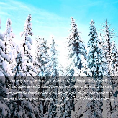 Picture 03 - Ezekiel 14:7 KJV - For every one of the house of Israel, or of the - Bible Verse Picture