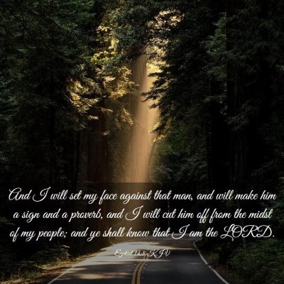 Picture 03 - Ezekiel 14:8 KJV - And I will set my face against that man, and will - Bible Verse Picture