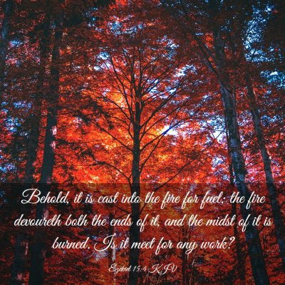 Picture 03 - Ezekiel 15:4 KJV - Behold, it is cast into the fire for fuel; the - Bible Verse Picture