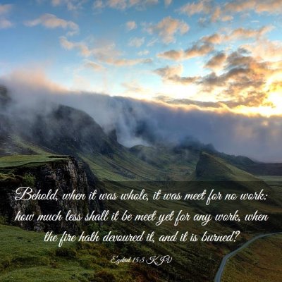 Picture 03 - Ezekiel 15:5 KJV - Behold, when it was whole, it was meet for no - Bible Verse Picture