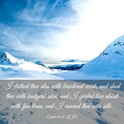Picture 03 - Ezekiel 16:10 KJV - I clothed thee also with broidered work, and shod - Bible Verse Picture