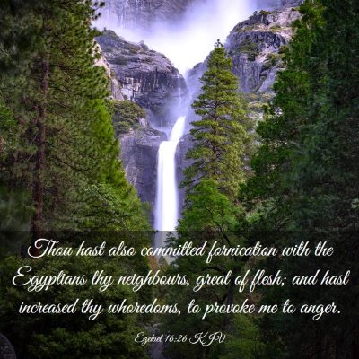 Picture 03 - Ezekiel 16:26 KJV - Thou hast also committed fornication with the - Bible Verse Picture