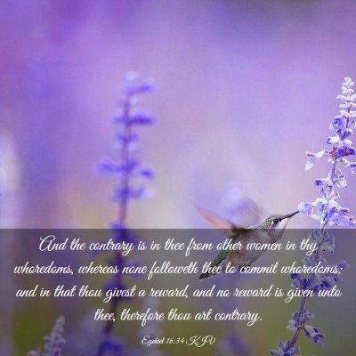 Picture 03 - Ezekiel 16:34 KJV - And the contrary is in thee from other women in - Bible Verse Picture
