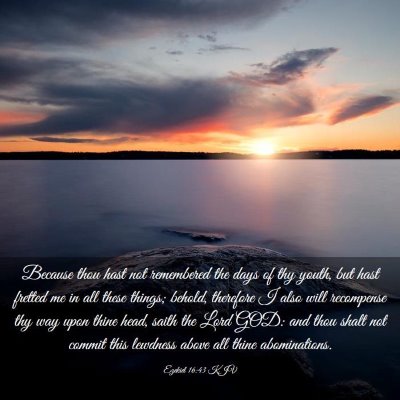 Picture 03 - Ezekiel 16:43 KJV - Because thou hast not remembered the days of thy - Bible Verse Picture