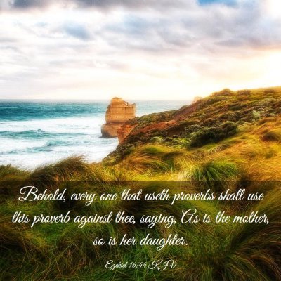 Picture 03 - Ezekiel 16:44 KJV - Behold, every one that useth proverbs shall use - Bible Verse Picture
