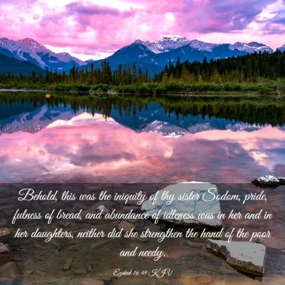 Picture 03 - Ezekiel 16:49 KJV - Behold, this was the iniquity of thy sister - Bible Verse Picture