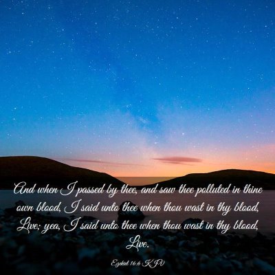 Picture 03 - Ezekiel 16:6 KJV - And when I passed by thee, and saw thee polluted - Bible Verse Picture