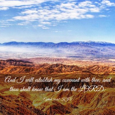 Picture 03 - Ezekiel 16:62 KJV - And I will establish my covenant with thee; and - Bible Verse Picture