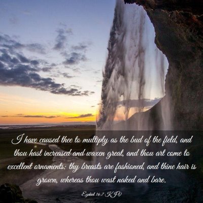 Picture 03 - Ezekiel 16:7 KJV - I have caused thee to multiply as the bud of the - Bible Verse Picture