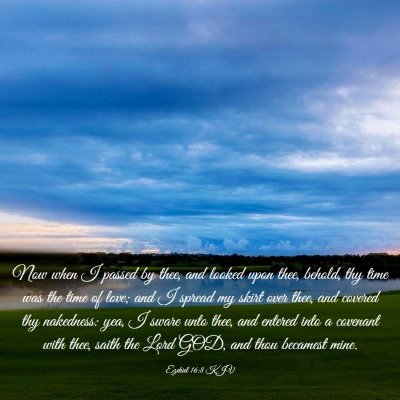 Picture 03 - Ezekiel 16:8 KJV - Now when I passed by thee, and looked upon thee, - Bible Verse Picture