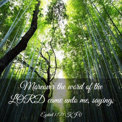 Picture 03 - Ezekiel 17:11 KJV - Moreover the word of the LORD came unto me, - Bible Verse Picture