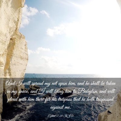 Picture 03 - Ezekiel 17:20 KJV - And I will spread my net upon him, and he shall - Bible Verse Picture