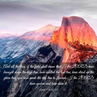 Picture 03 - Ezekiel 17:24 KJV - And all the trees of the field shall know that I - Bible Verse Picture