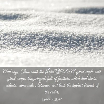 Picture 03 - Ezekiel 17:3 KJV - And say, Thus saith the Lord GOD; A great eagle - Bible Verse Picture