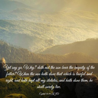 Picture 03 - Ezekiel 18:19 KJV - Yet say ye, Why? doth not the son bear the - Bible Verse Picture