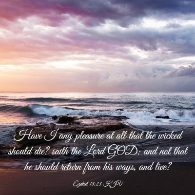 Picture 03 - Ezekiel 18:23 KJV - Have I any pleasure at all that the wicked should - Bible Verse Picture