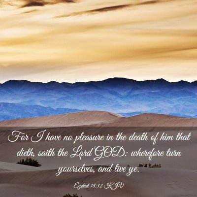Picture 03 - Ezekiel 18:32 KJV - For I have no pleasure in the death of him that - Bible Verse Picture