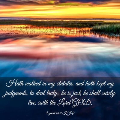 Picture 03 - Ezekiel 18:9 KJV - Hath walked in my statutes, and hath kept my - Bible Verse Picture
