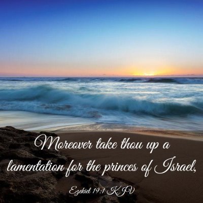 Picture 03 - Ezekiel 19:1 KJV - Moreover take thou up a lamentation for the - Bible Verse Picture