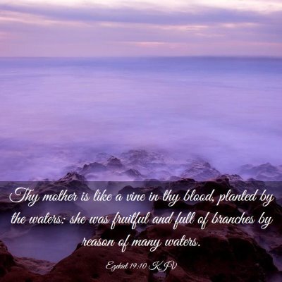 Picture 03 - Ezekiel 19:10 KJV - Thy mother is like a vine in thy blood, planted - Bible Verse Picture