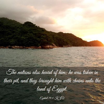 Picture 03 - Ezekiel 19:4 KJV - The nations also heard of him; he was taken in - Bible Verse Picture