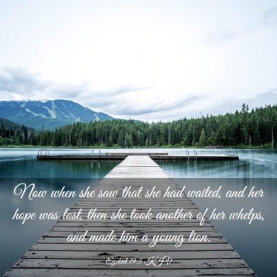 Picture 03 - Ezekiel 19:5 KJV - Now when she saw that she had waited, and her - Bible Verse Picture
