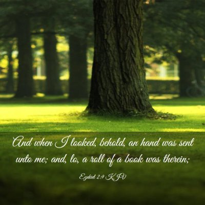 Picture 03 - Ezekiel 2:9 KJV - And when I looked, behold, an hand was sent unto - Bible Verse Picture