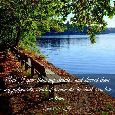 Picture 03 - Ezekiel 20:11 KJV - And I gave them my statutes, and shewed them my - Bible Verse Picture
