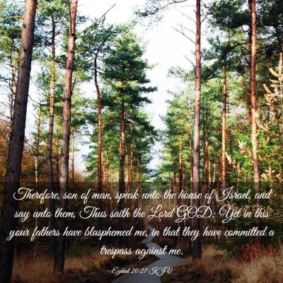 Picture 03 - Ezekiel 20:27 KJV - Therefore, son of man, speak unto the house of - Bible Verse Picture