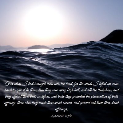 Picture 03 - Ezekiel 20:28 KJV - For when I had brought them into the land, for - Bible Verse Picture