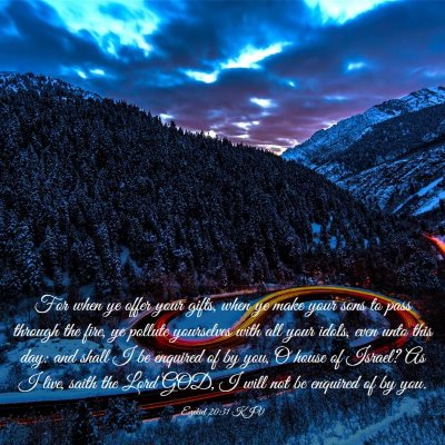 Picture 03 - Ezekiel 20:31 KJV - For when ye offer your gifts, when ye make your - Bible Verse Picture