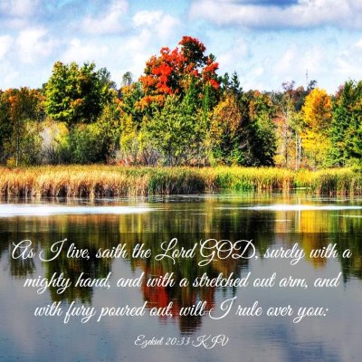 Picture 03 - Ezekiel 20:33 KJV - As I live, saith the Lord GOD, surely with a - Bible Verse Picture