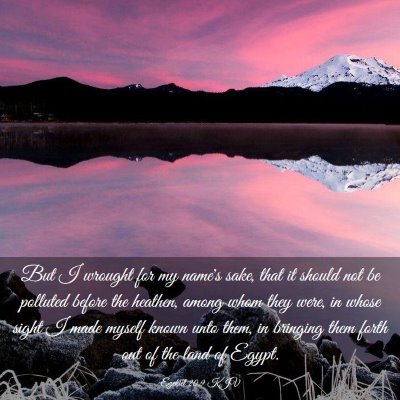 Picture 03 - Ezekiel 20:9 KJV - But I wrought for my name's sake, that it should - Bible Verse Picture
