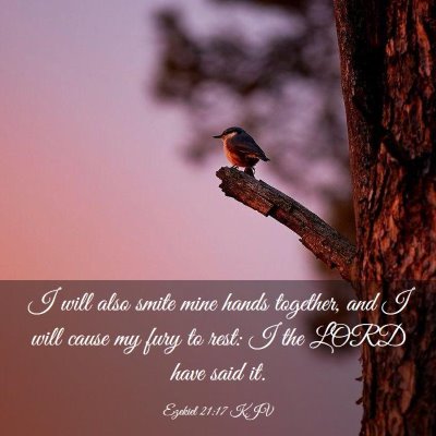 Picture 03 - Ezekiel 21:17 KJV - I will also smite mine hands together, and I will - Bible Verse Picture