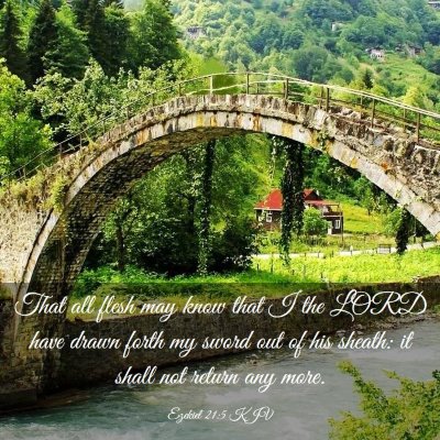 Picture 03 - Ezekiel 21:5 KJV - That all flesh may know that I the LORD have - Bible Verse Picture
